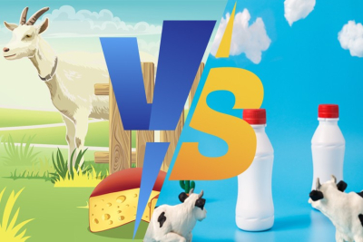 Cow vs Goat & Sheep Milk: Lactose Battle