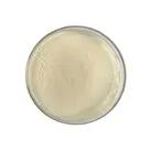 유당 일수화물 분말