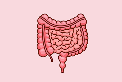 Where Does Lactose Hide in Your Body?