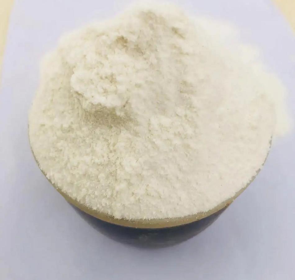 Lactose Anhydrous Powder